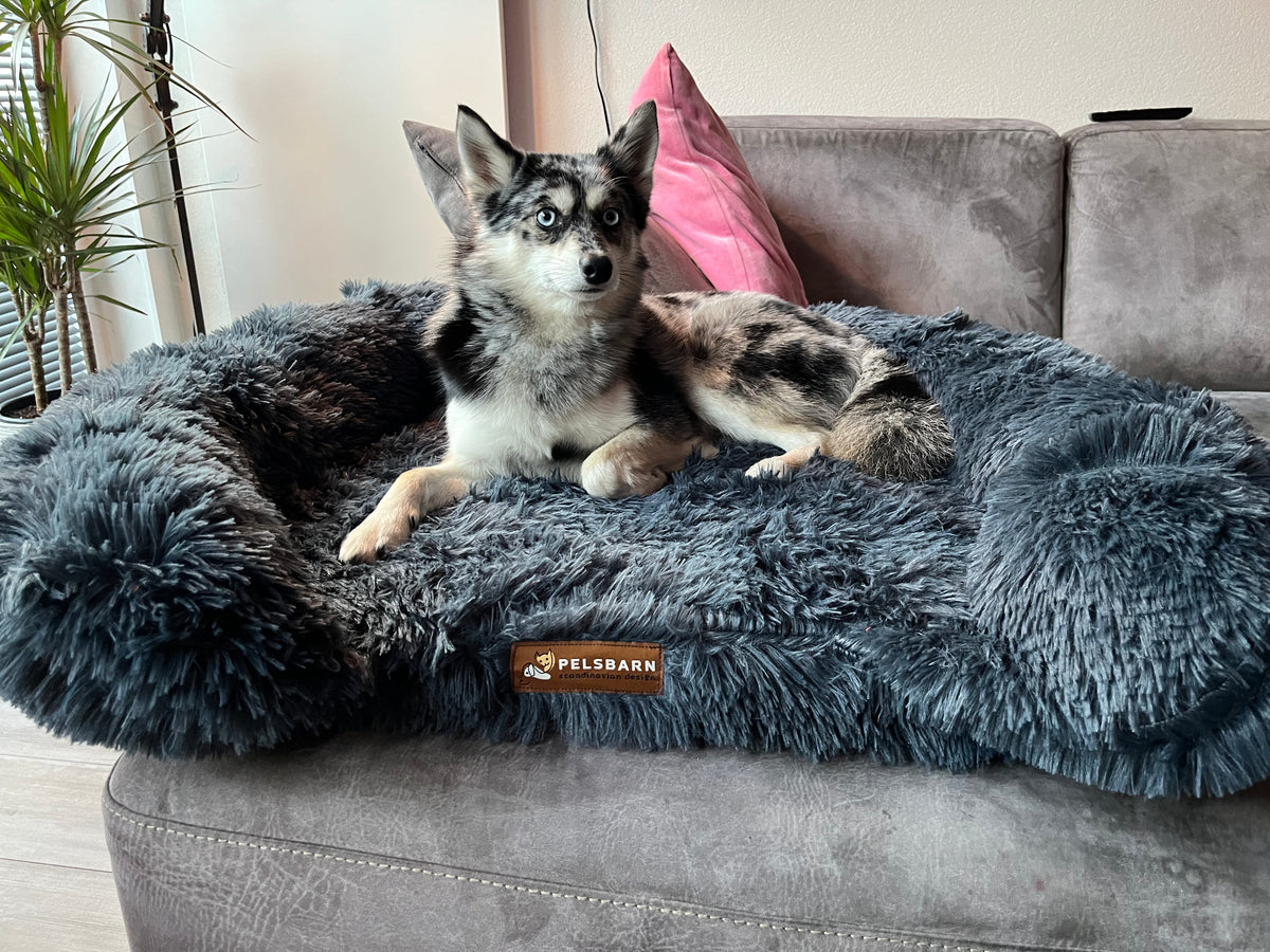 Orthopedic Calming Bed