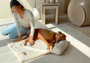 4 Reasons Dogs 
(and homes) Love It