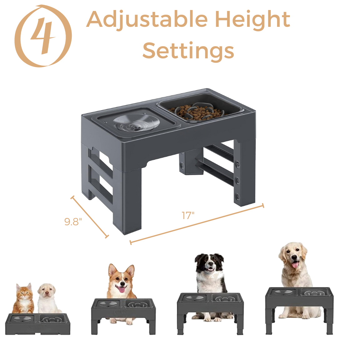 Elevated Slow Feeder with No Spill Dog Water Bowl