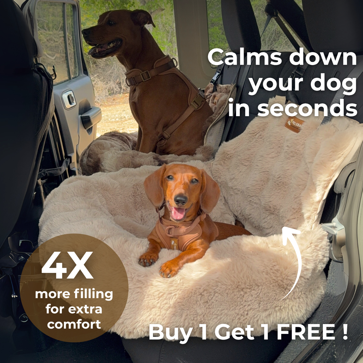 Luxurious Cozy Car Bed