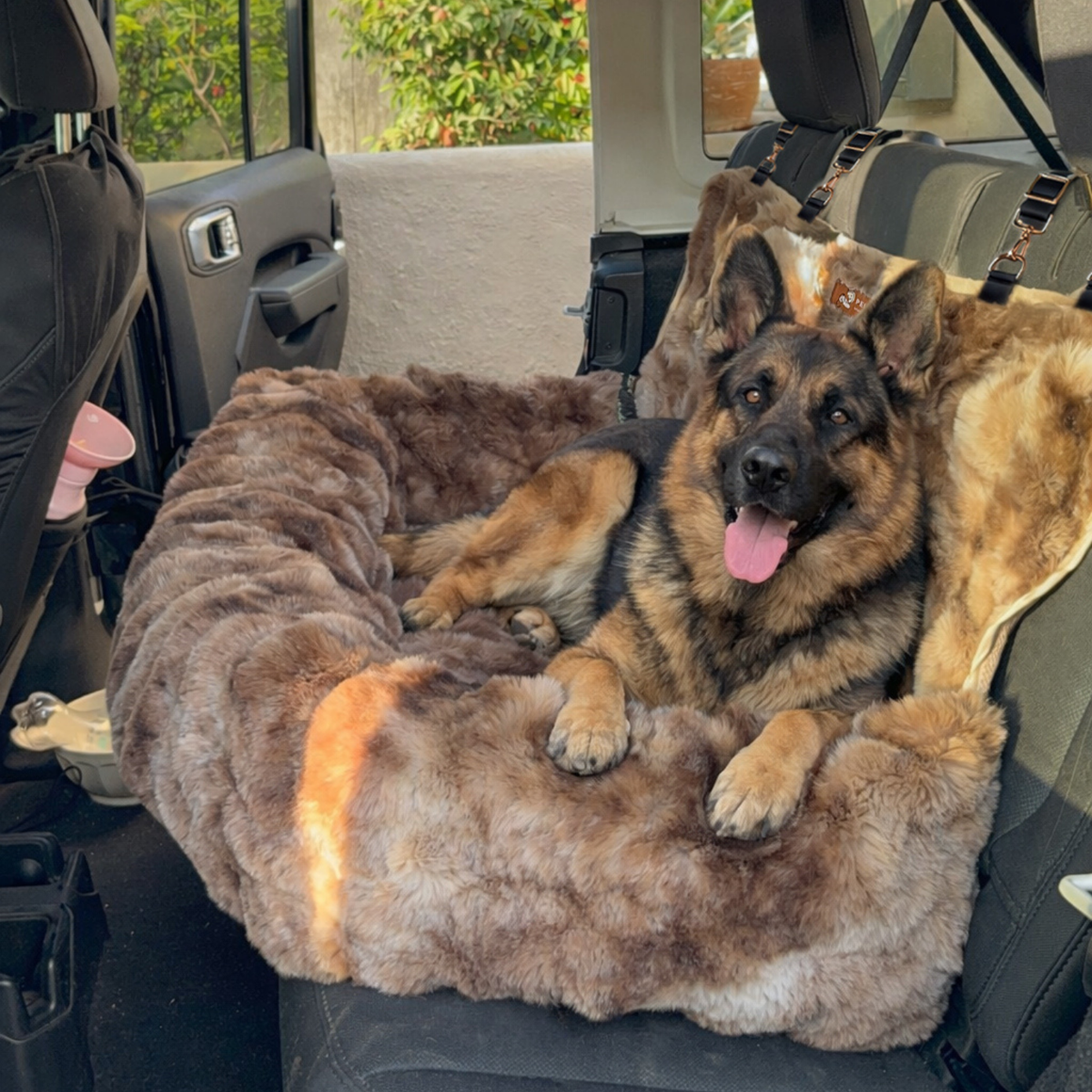 Luxurious Cozy Car Bed