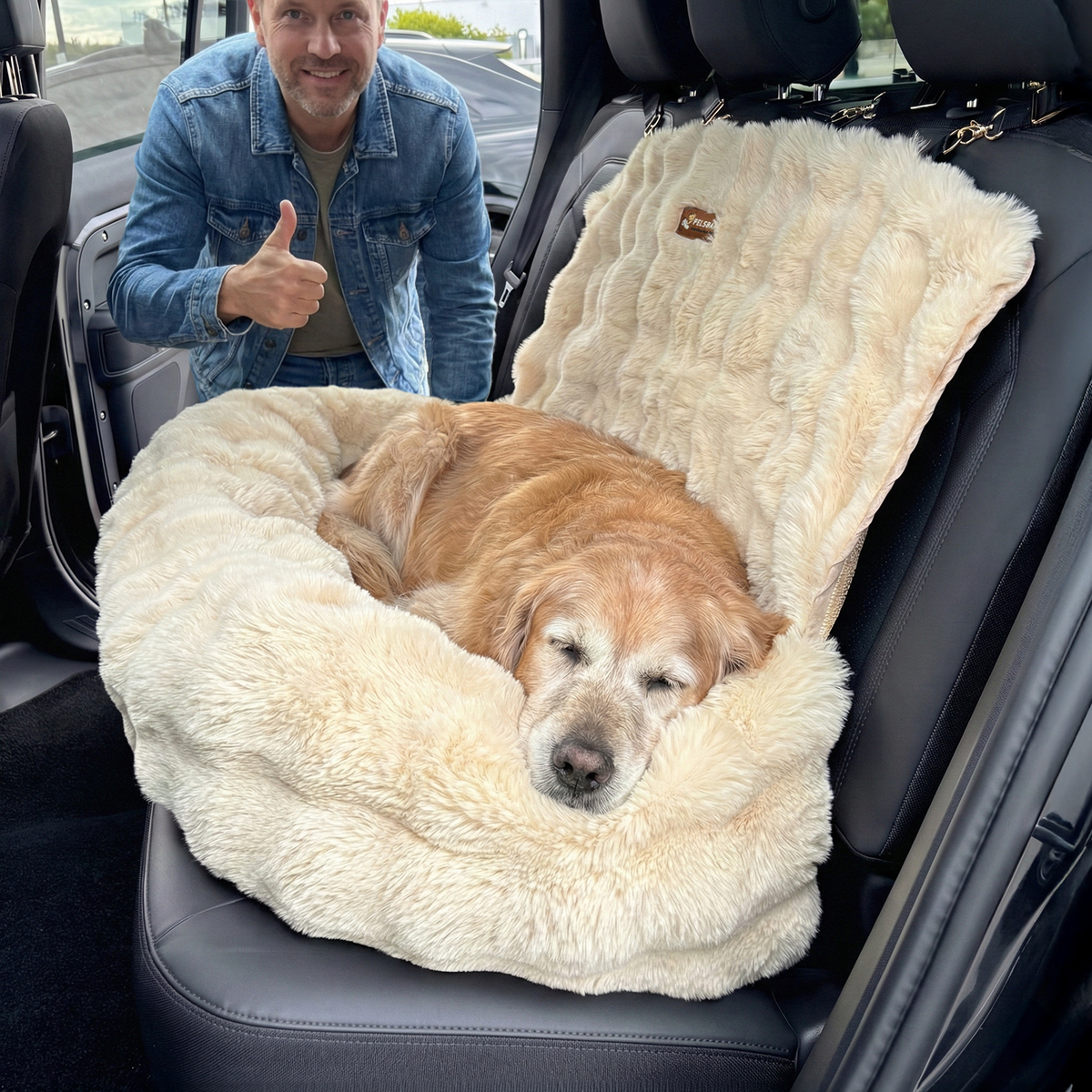 Luxurious Cozy Car Bed