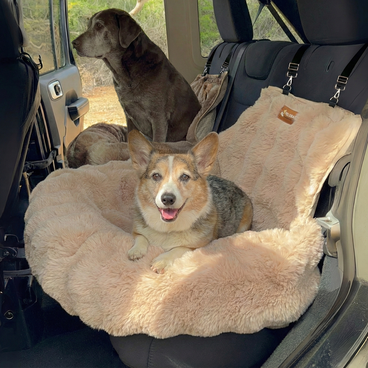 Luxurious Cozy Car Bed
