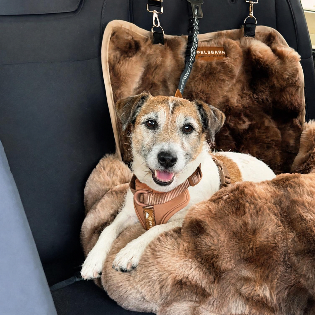 Luxurious Cozy Car Bed