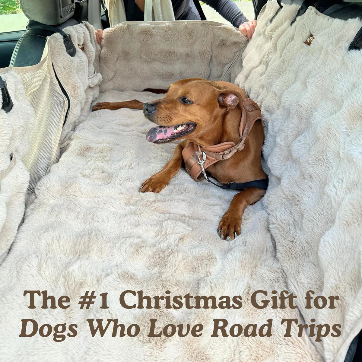 Luxurious Full Backseat Protector