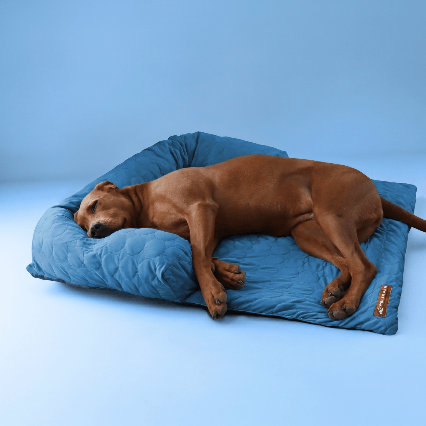 Pelsbarn Cooling Bed (4x more effective)