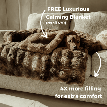 LSB + Free Luxurious Calming Blanket