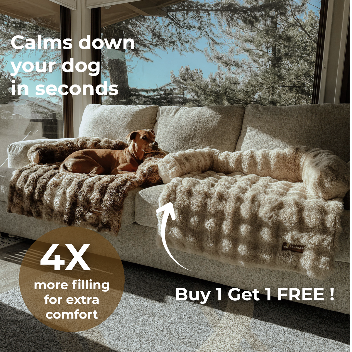 Luxurious Sofa Bed