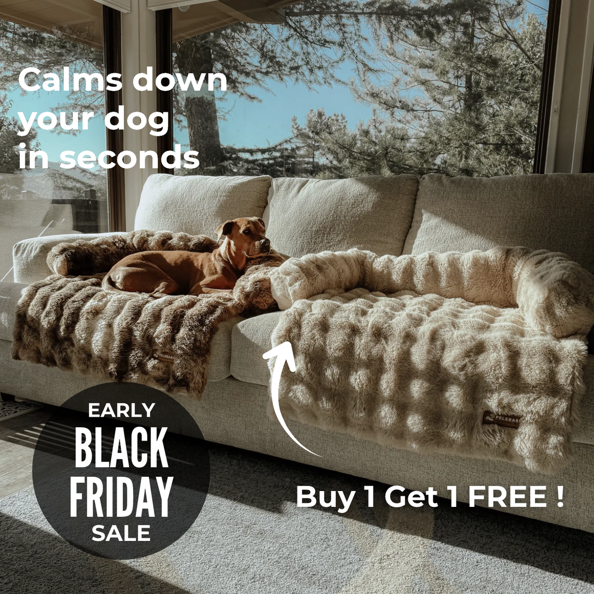 Luxurious Sofa Bed