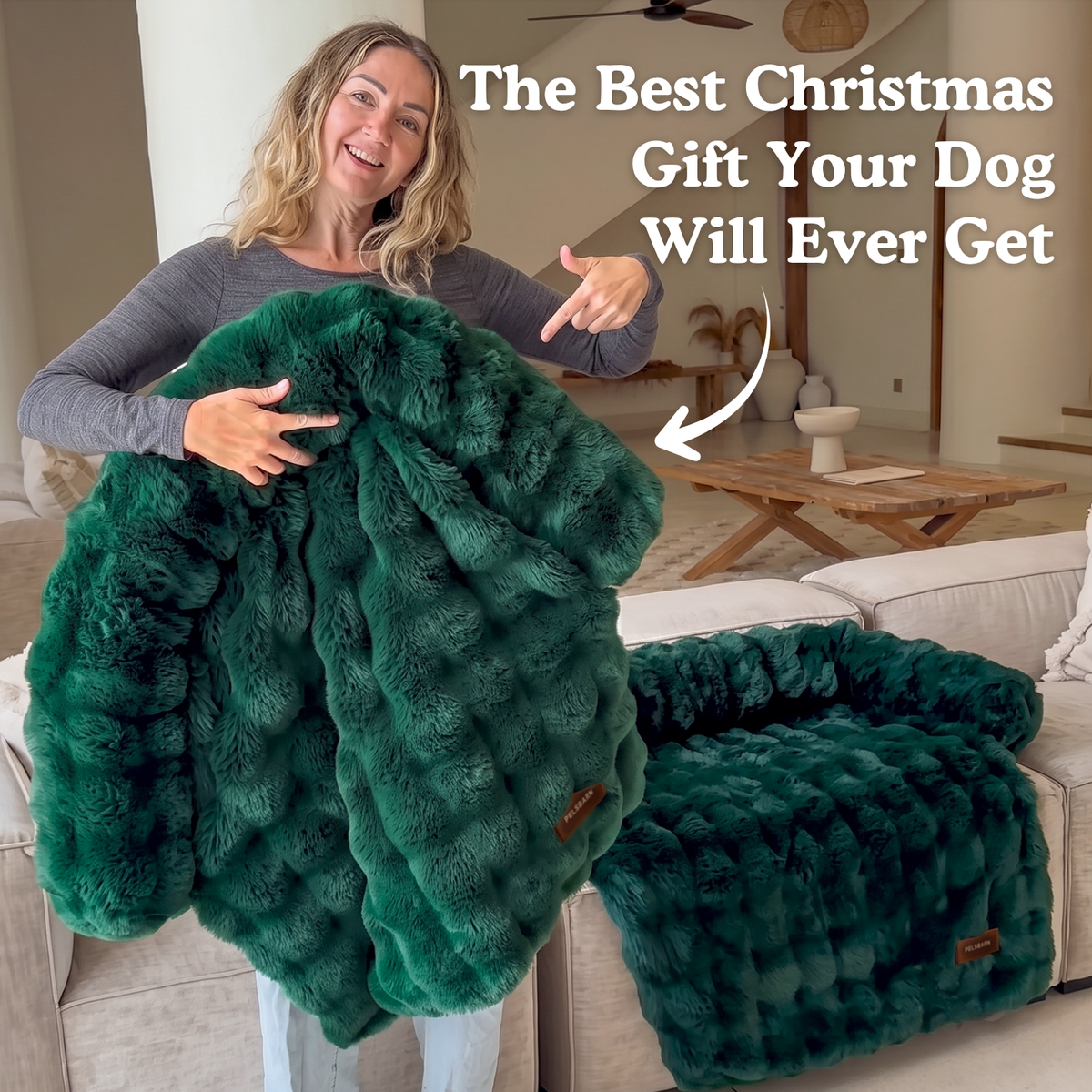 Luxurious Sofa Bed