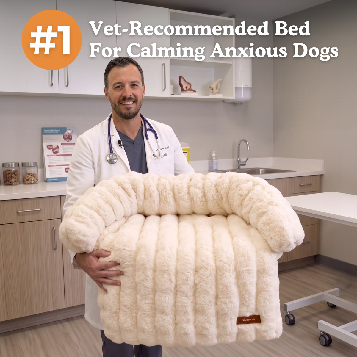 Luxurious Sofa Bed