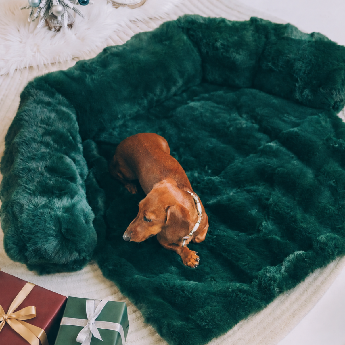 Luxurious Sofa Bed
