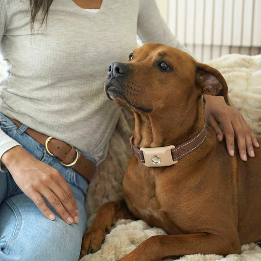 Pelsbarn Natural Flea and Tick