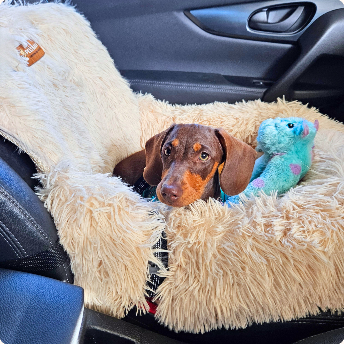 Pelsbarn Protecting Car Bed 3.0