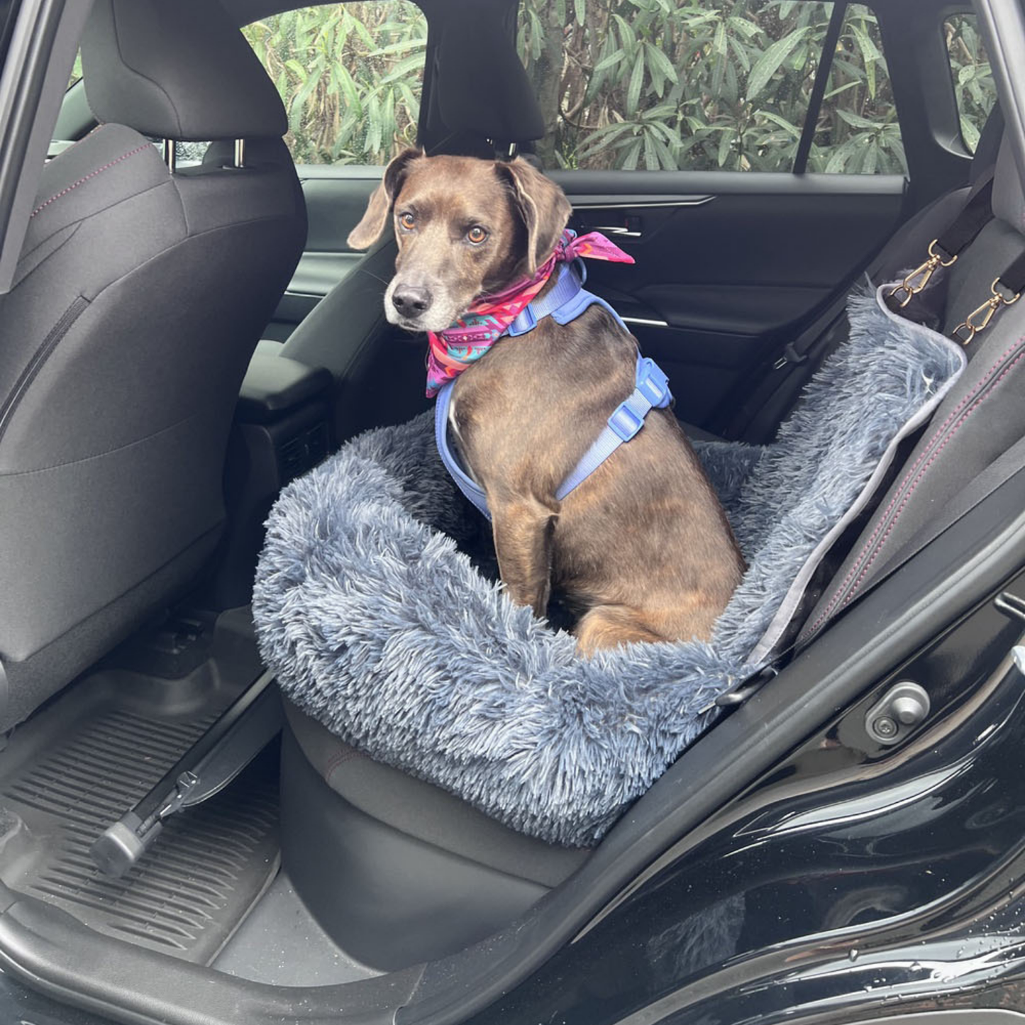 Pelsbarn Protecting Car Bed 3.0