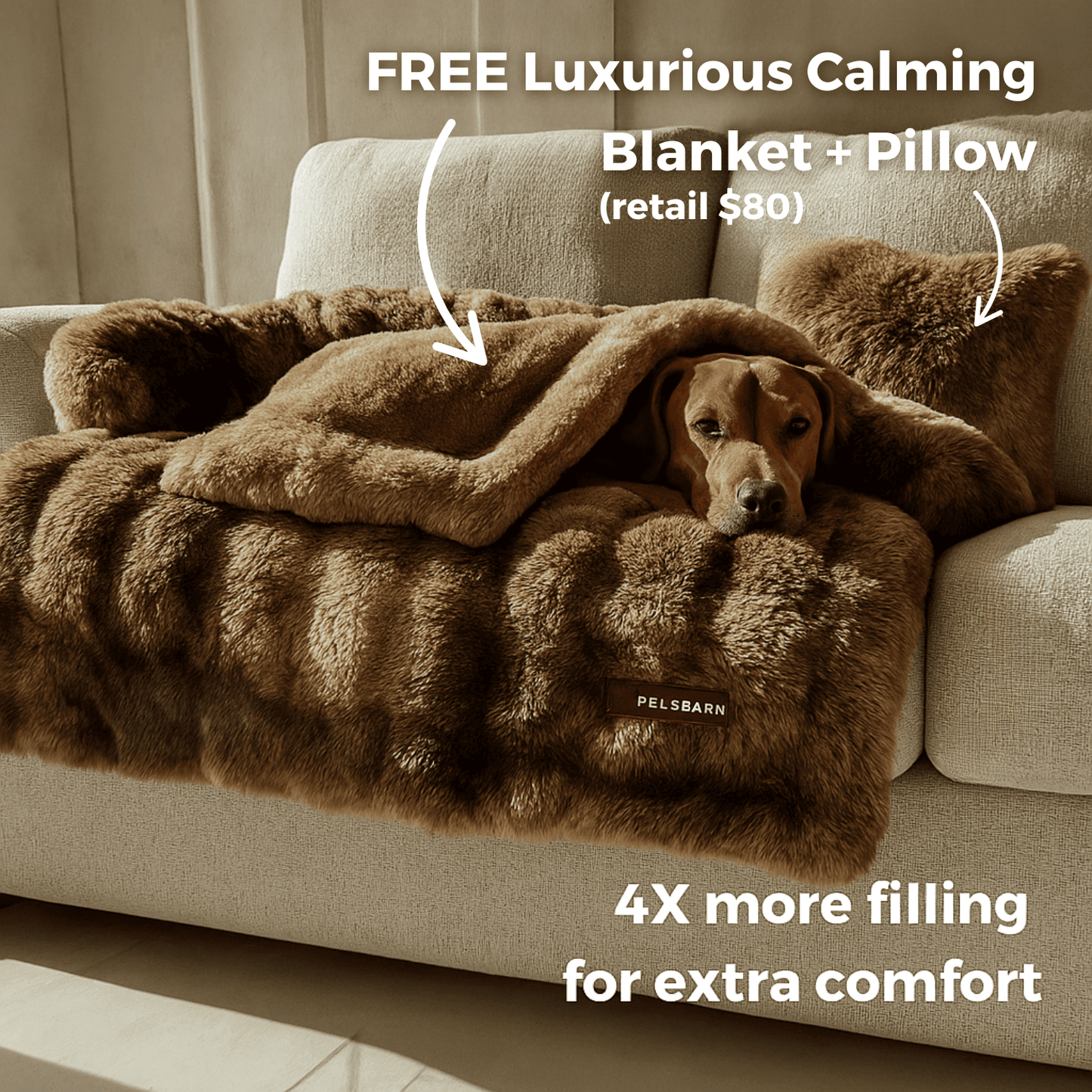 Luxurious Living Room Kit (Bed + Blanket + Pillow)