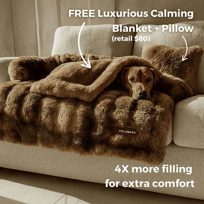 Luxurious Living Room Kit (Bed + Blanket + Pillow)