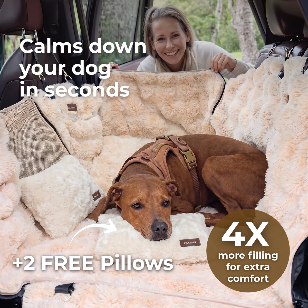 LFB + Free Small Pillows