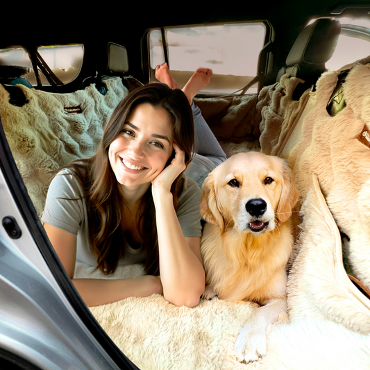 Luxurious Full Backseat Car Protector