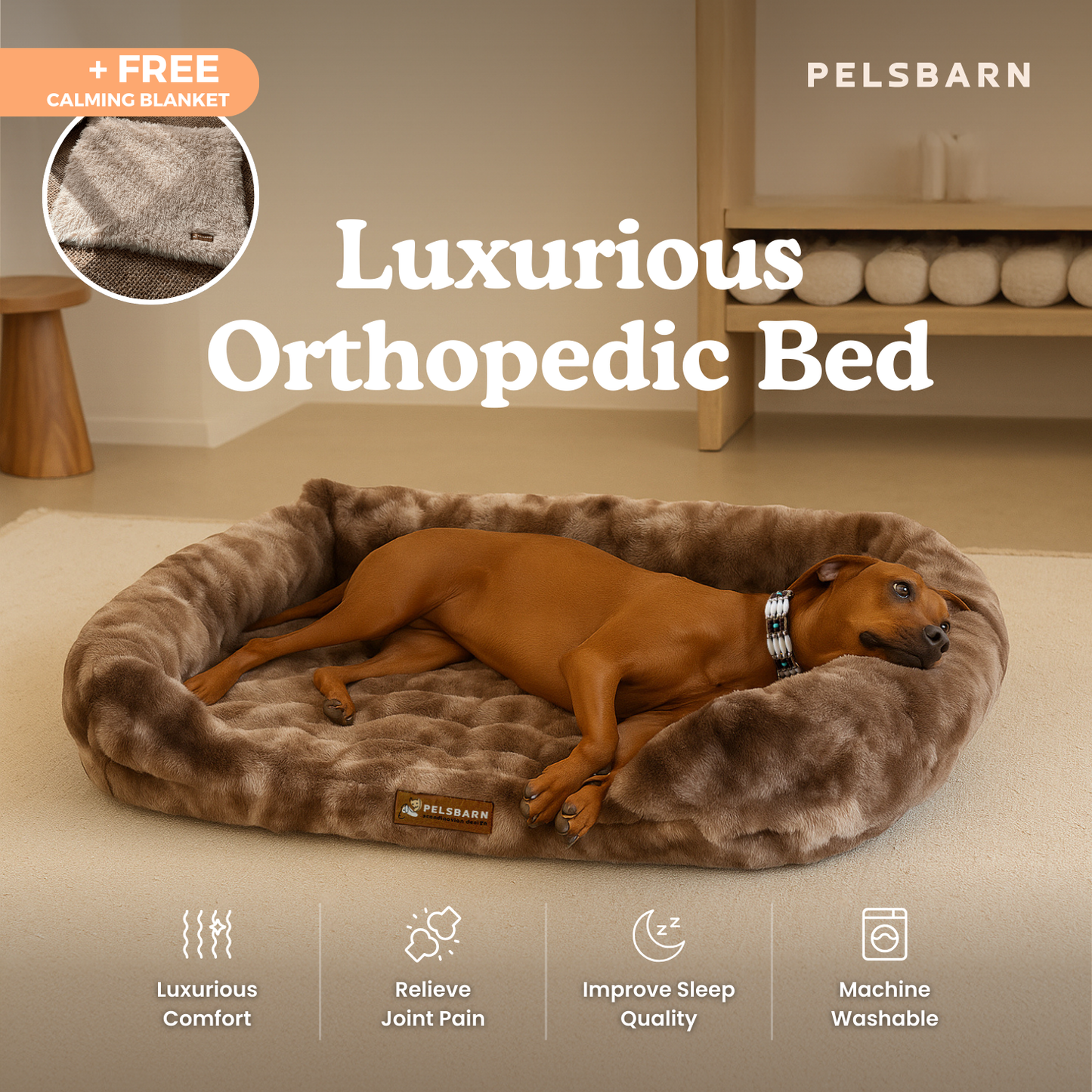 Give Your Dog the Gift of Healing Rest