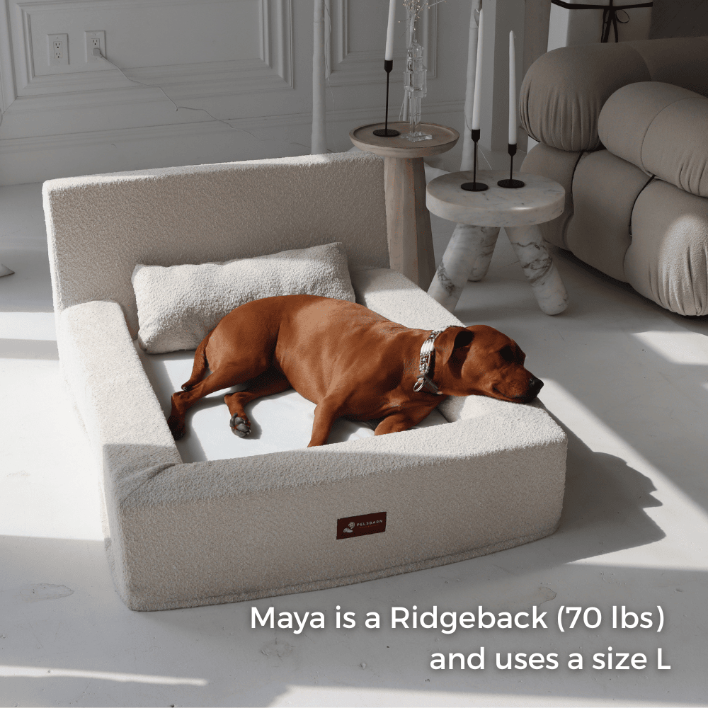 Real Orthopedic Bed for Dogs