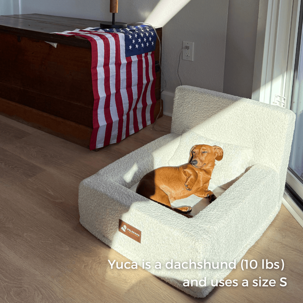 Real Orthopedic Bed for Dogs