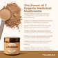 Lifeshield All-in-1 Mushroom Supplement