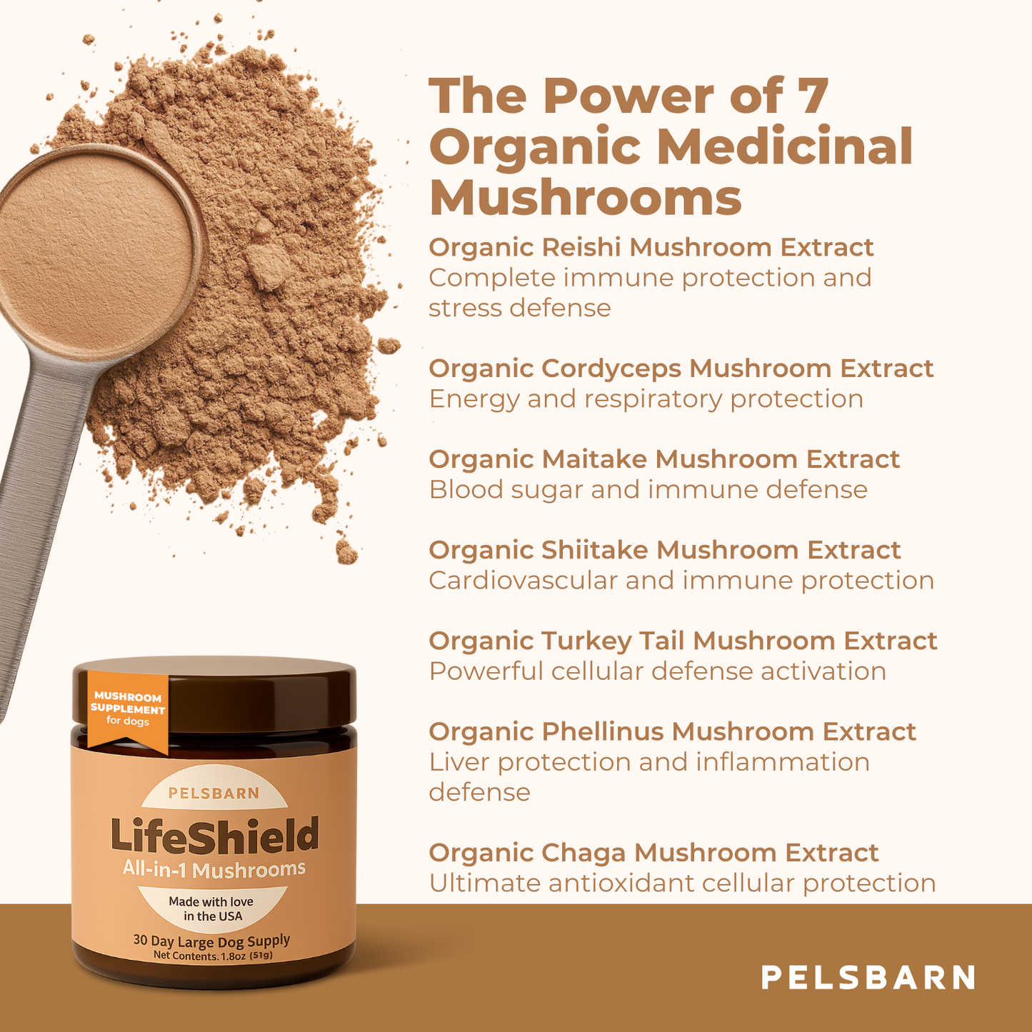 Lifeshield All-in-1 Mushroom Supplement