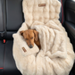 Luxurious Car Bed