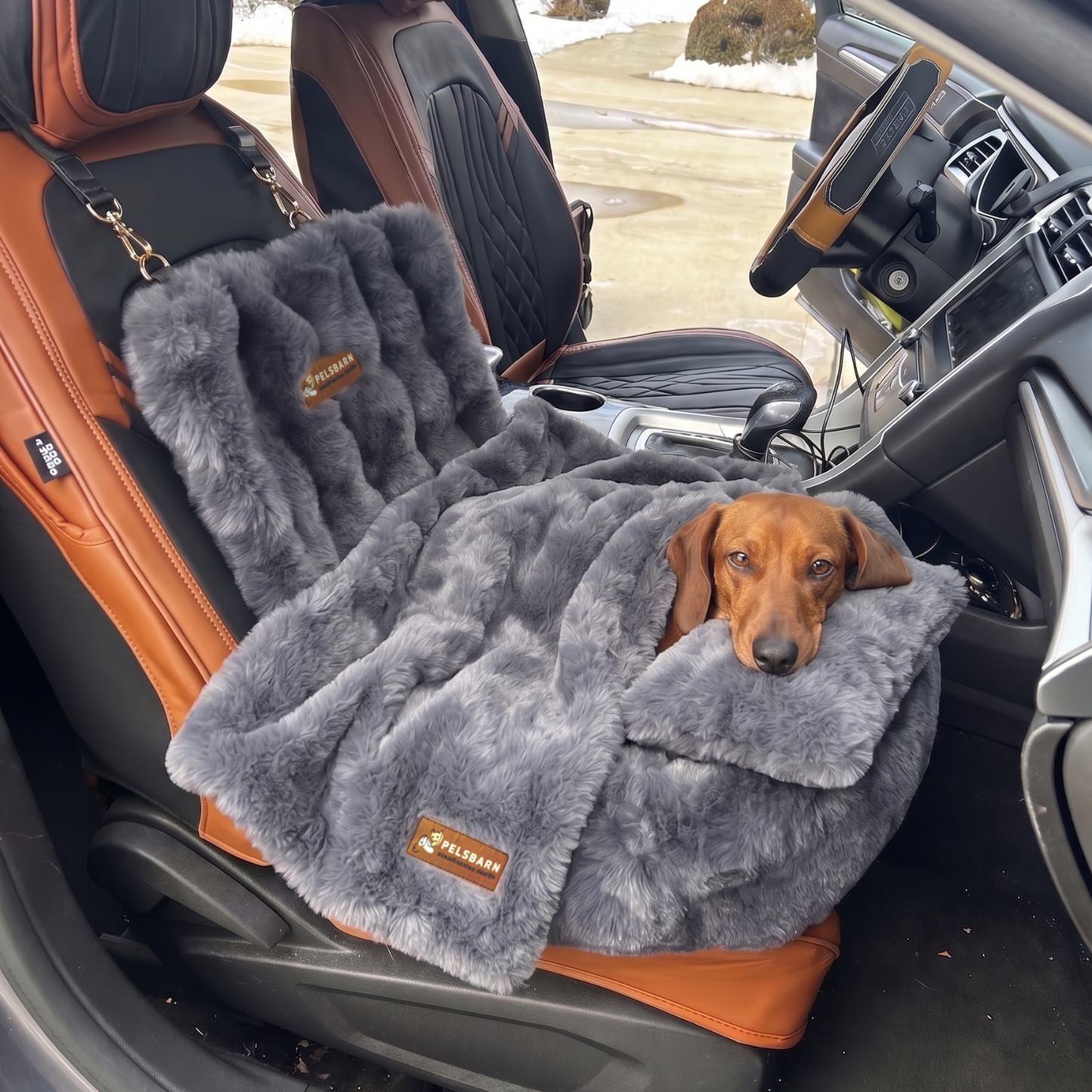Luxurious Car Bed