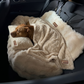 Luxurious Car Bed