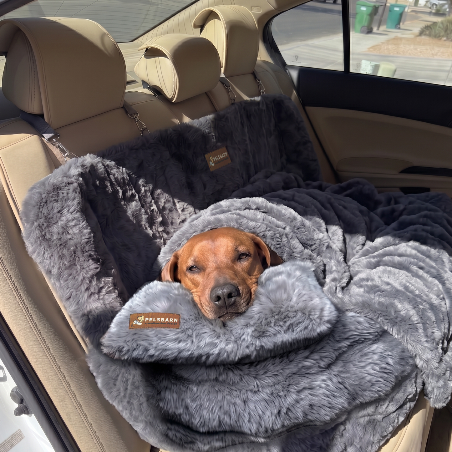 Luxurious Car Bed
