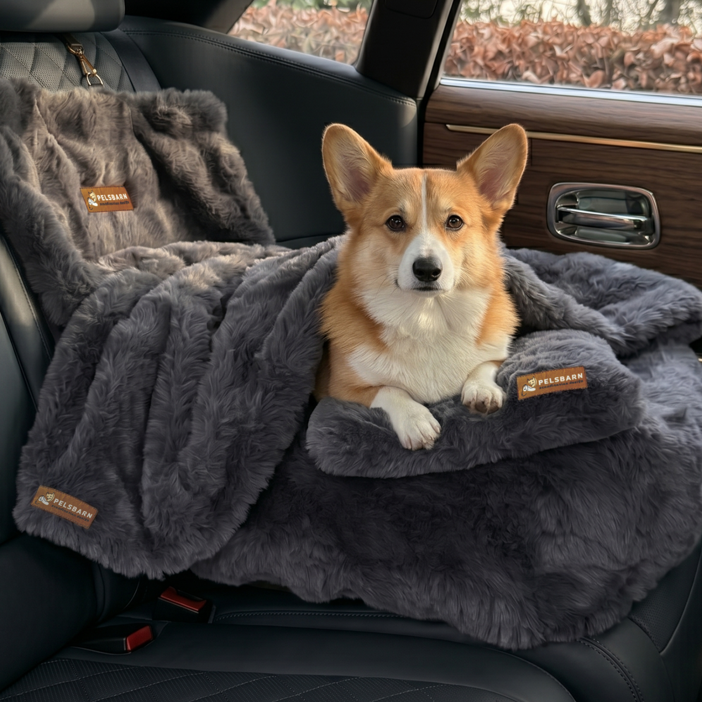Luxurious Car Bed