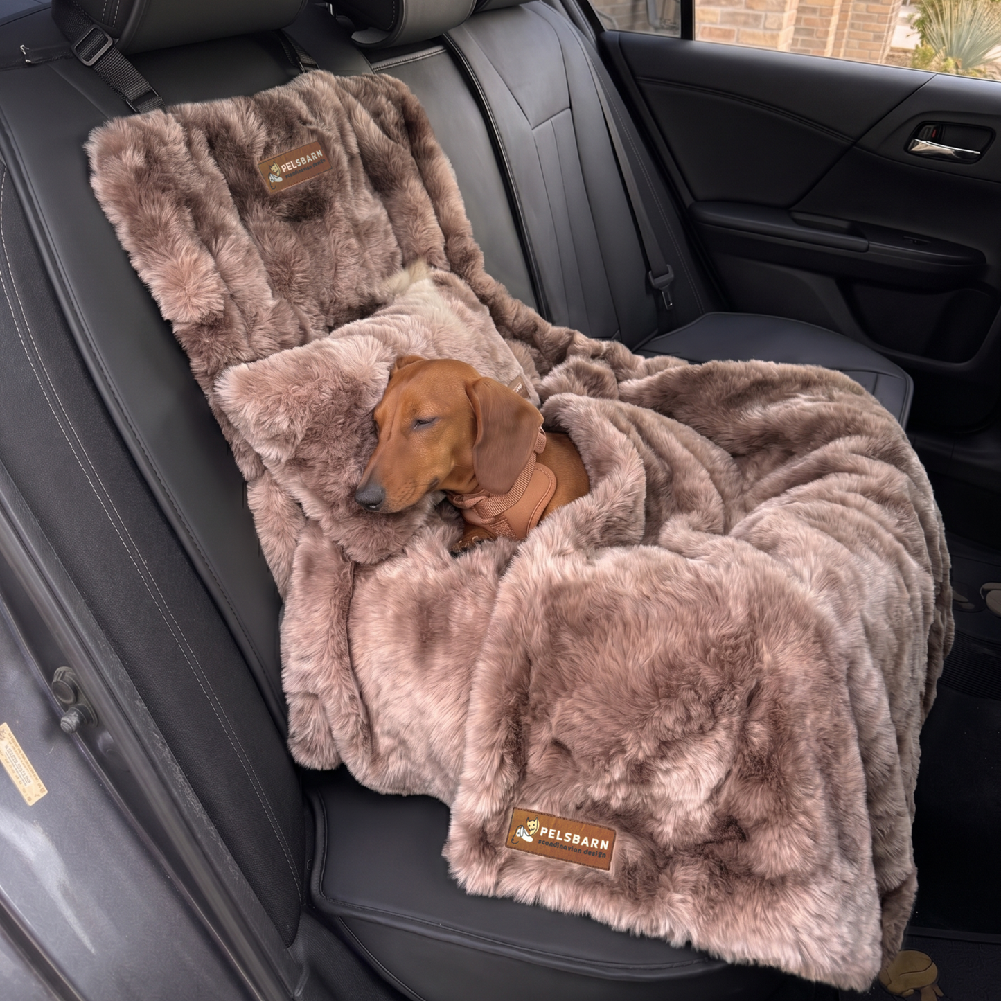 Luxurious Car Bed