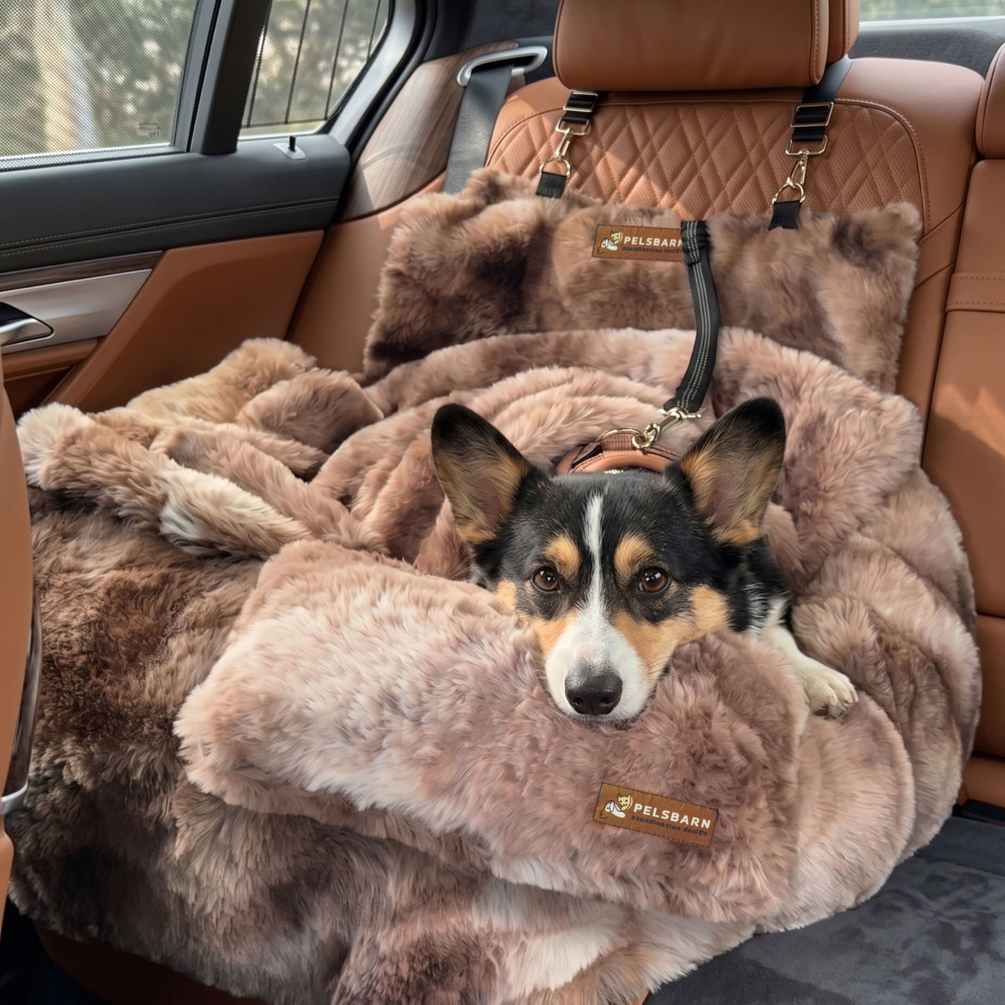 Luxurious Car Bed