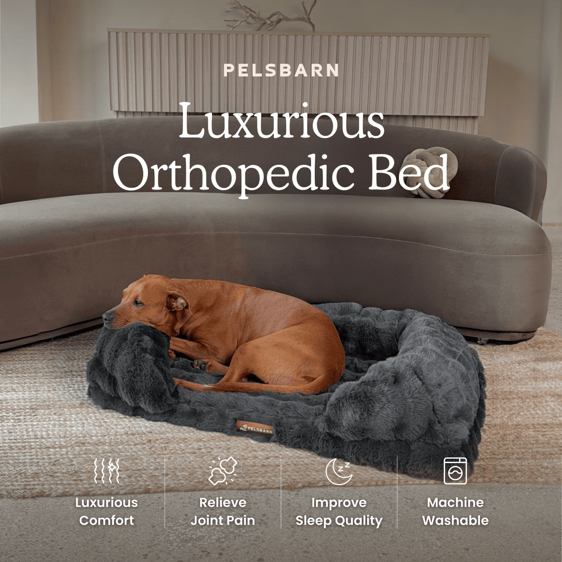 Luxurious Orthopedic Bed