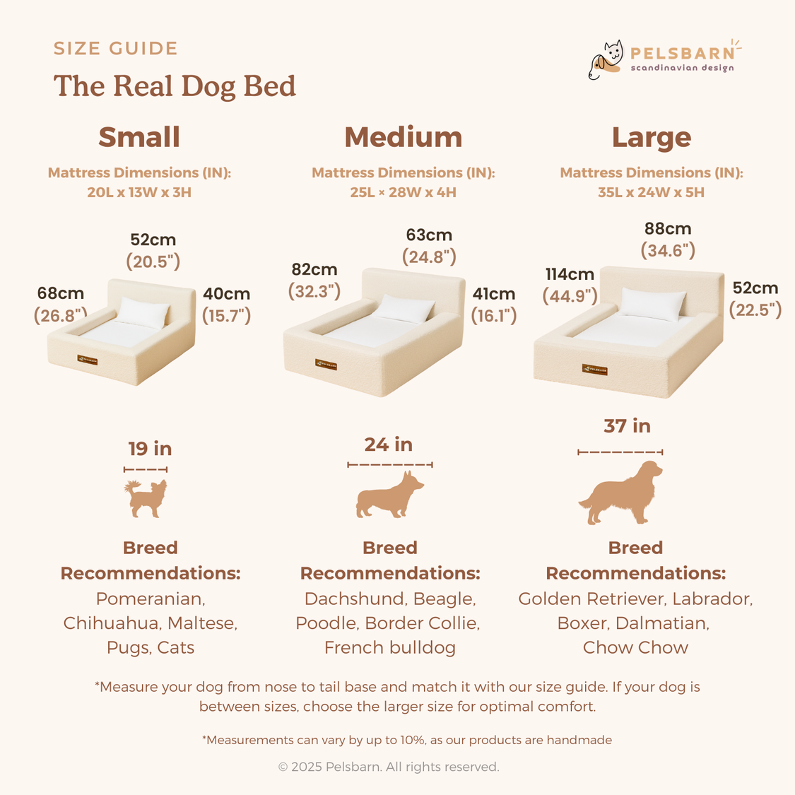 REAL orthopedic bed for dogs