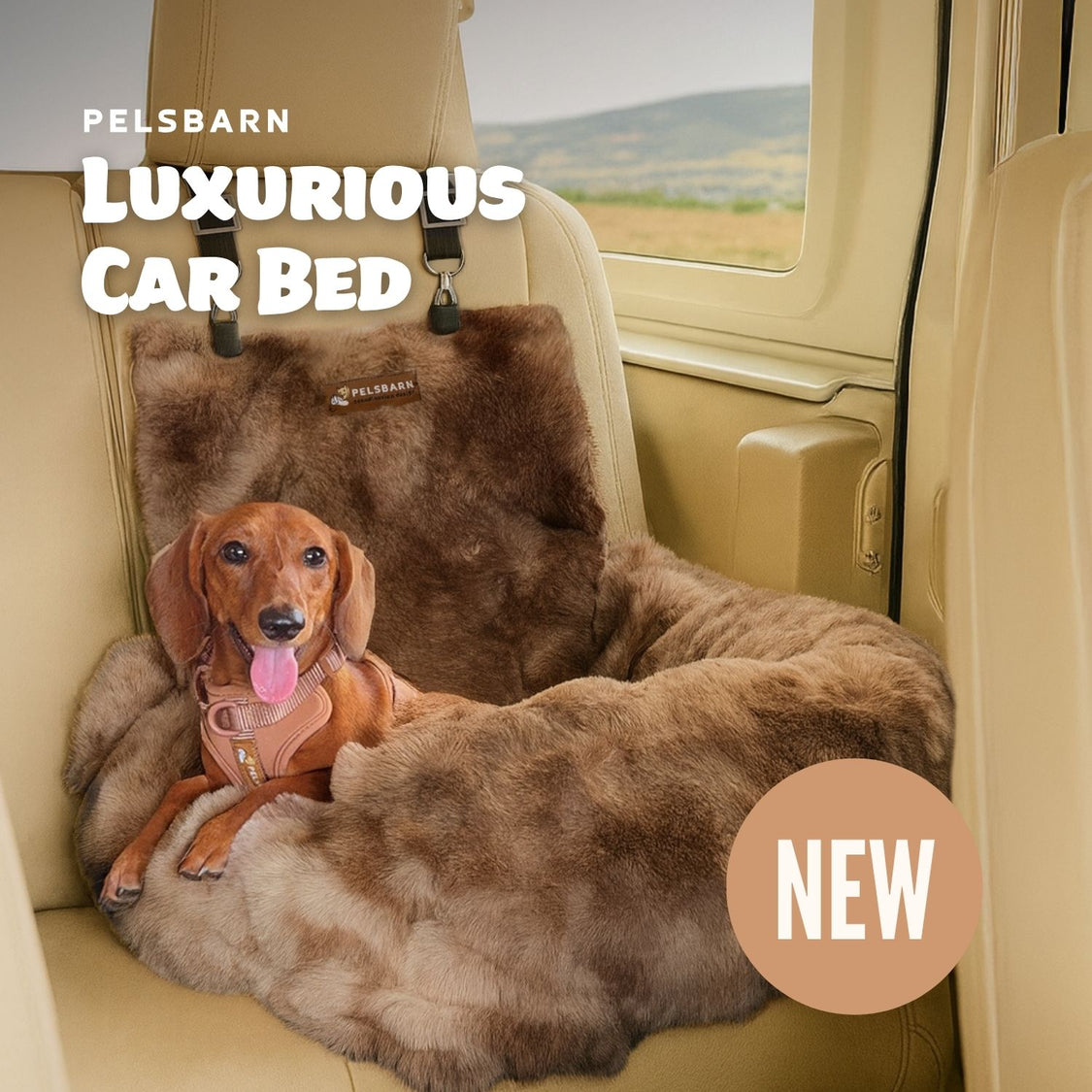 Luxurious Cozy Car Bed