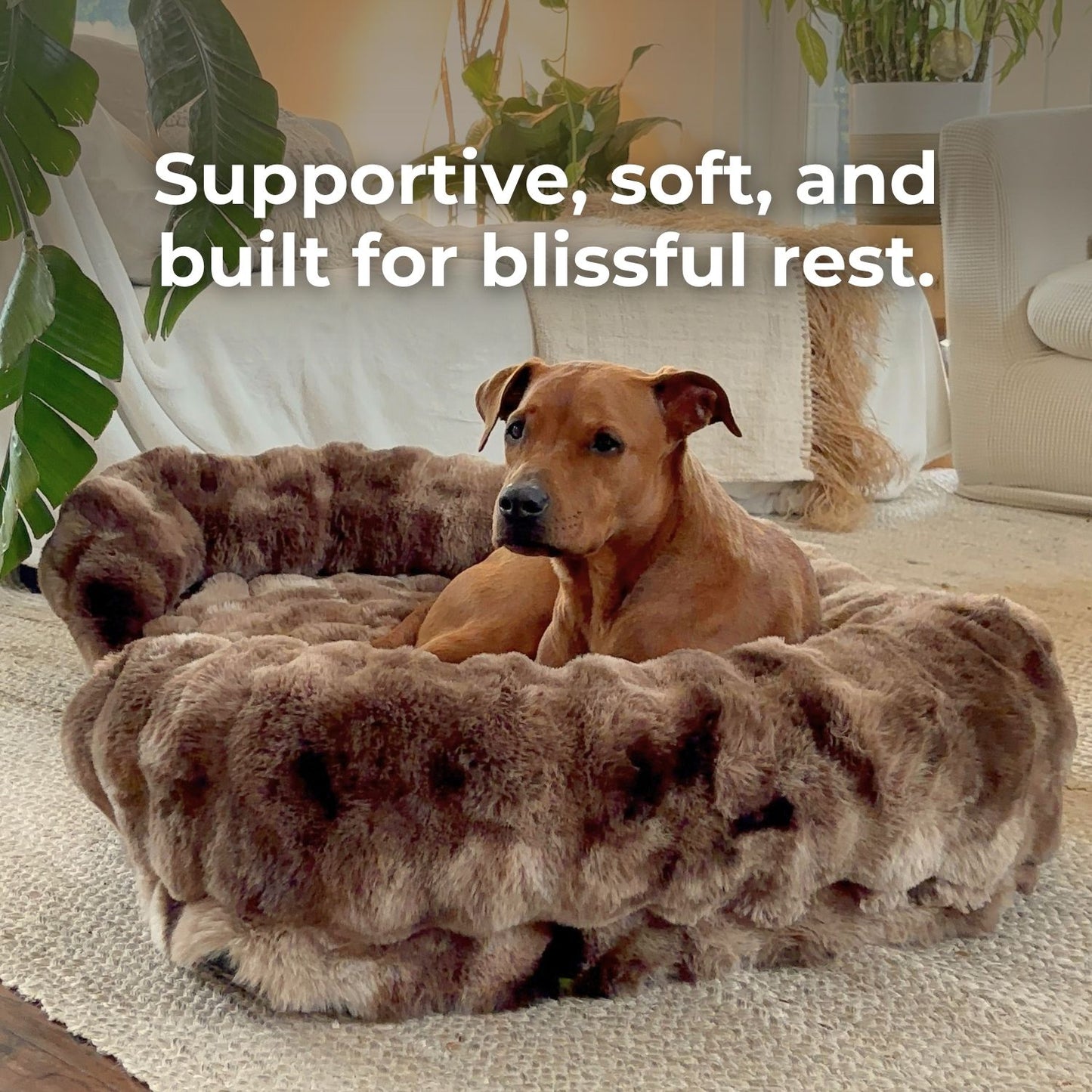 Luxurious Orthopedic Bed