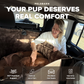 Luxurious Full Backseat Protector + Free Calming Blanket