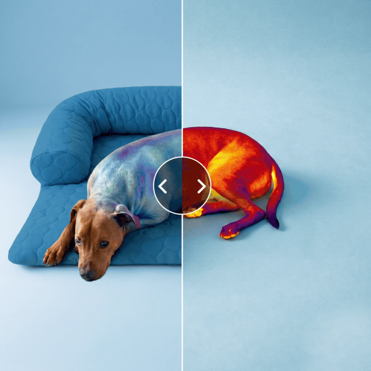 Pelsbarn Cooling Bed (4x more effective)