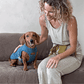 Dog Cooling Vest