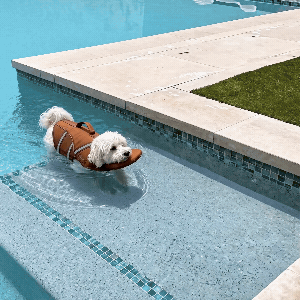 Dog Life Jacket