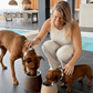 Elevated Dog Feeder