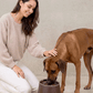 Elevated Dog Feeder