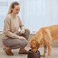 Elevated Dog Feeder