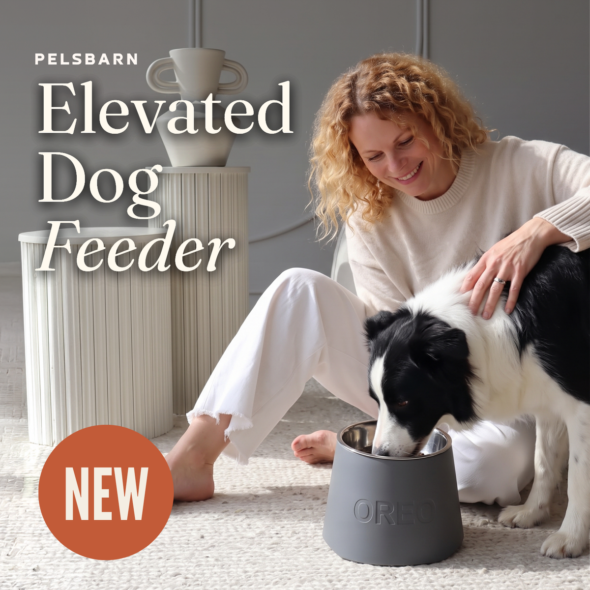 Elevated Dog Feeder