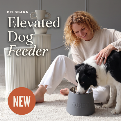 Elevated Dog Feeder