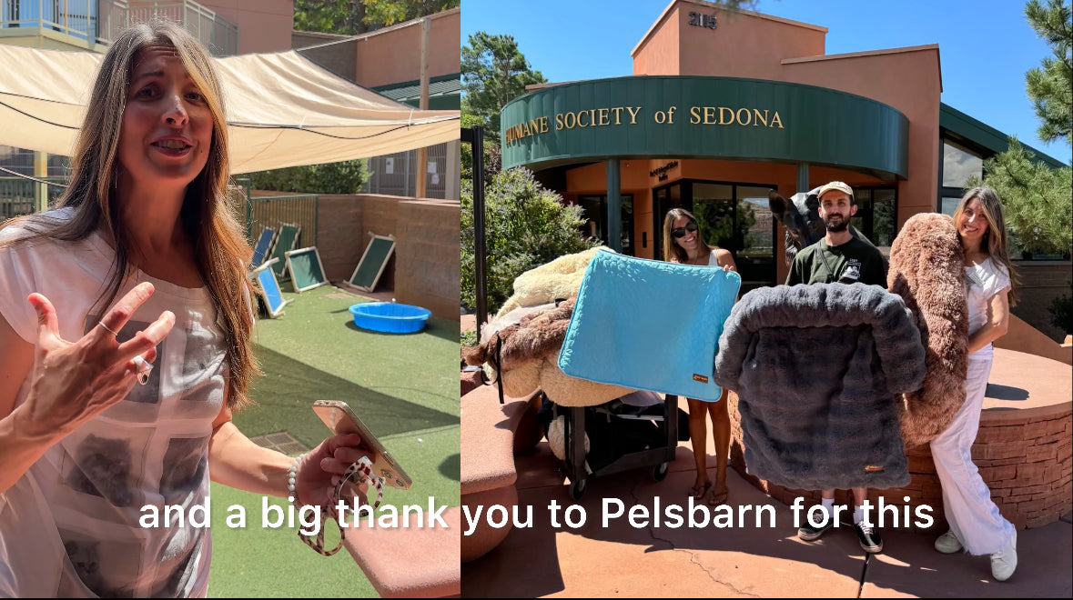 Load video: Donation of Pelsbarn products to Humane Society of Sedona, Arizona