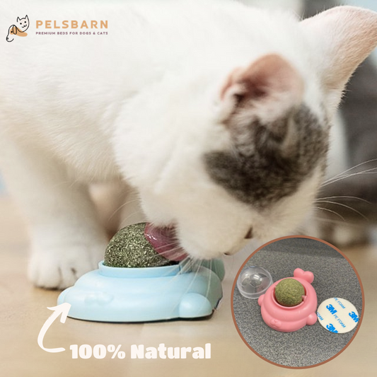 Rotatable Catnip Ball